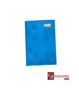 LIBRETA PROFESIONAL COSIDO PLUS DOBLE RAYA 100 HJS ROCA